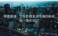 观察报道：丁冬影视 影音先锋的新动向 · 热点3817