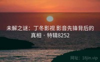 未解之谜：丁冬影视 影音先锋背后的真相 · 特辑8252