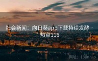 社会新闻：向日葵app下载持续发酵 · 热点116
