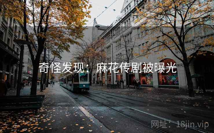 奇怪发现：麻花传剧被曝光